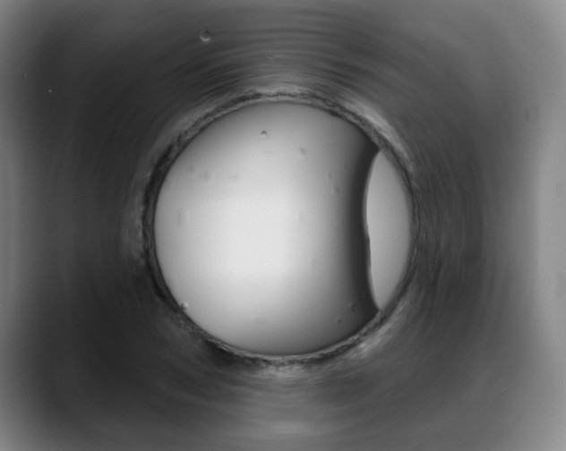 X0000089420978200706151000