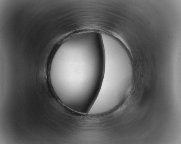 X0000089420979200706151000