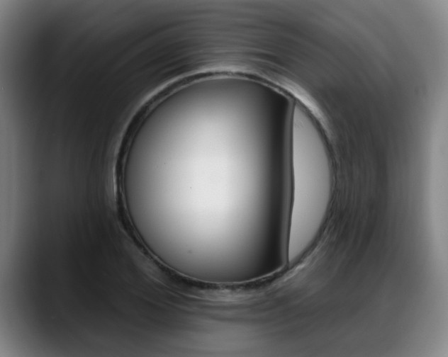 X0000089420980200706151000
