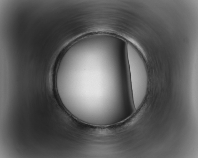 X0000089420983200706151000