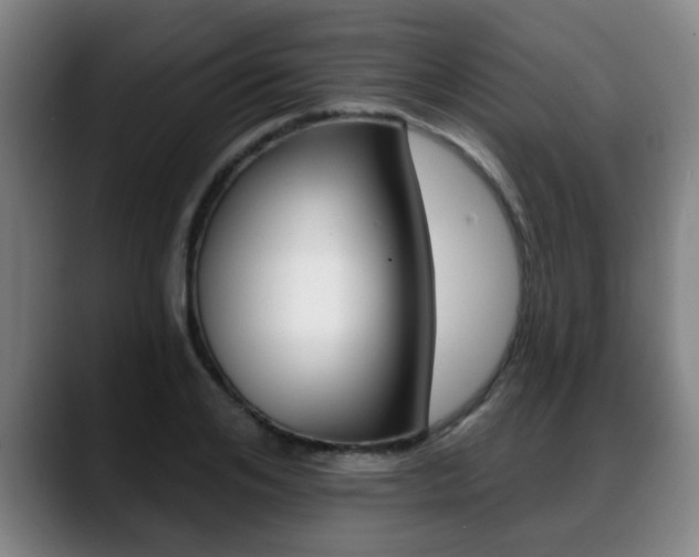 X0000089420984200706151000