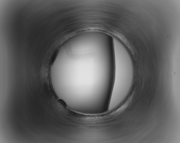 X0000089420985200706151000