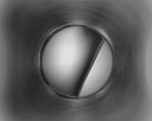 X0000089420988200706151000