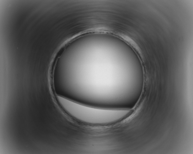 X0000089420989200706151000