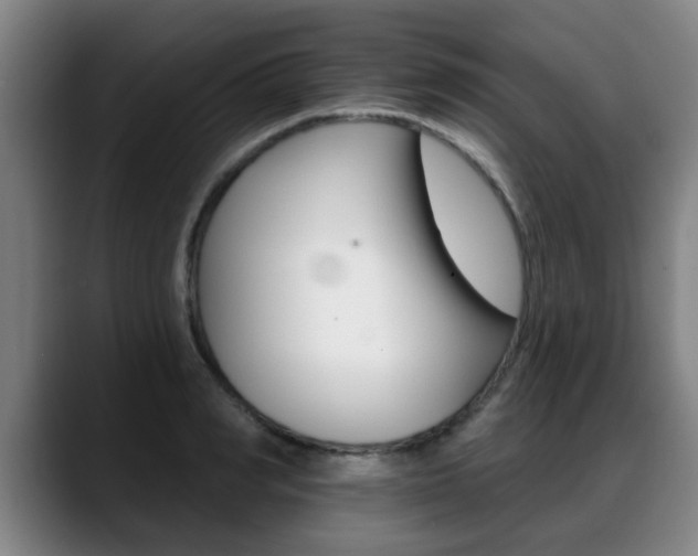 X0000089420990200706151000