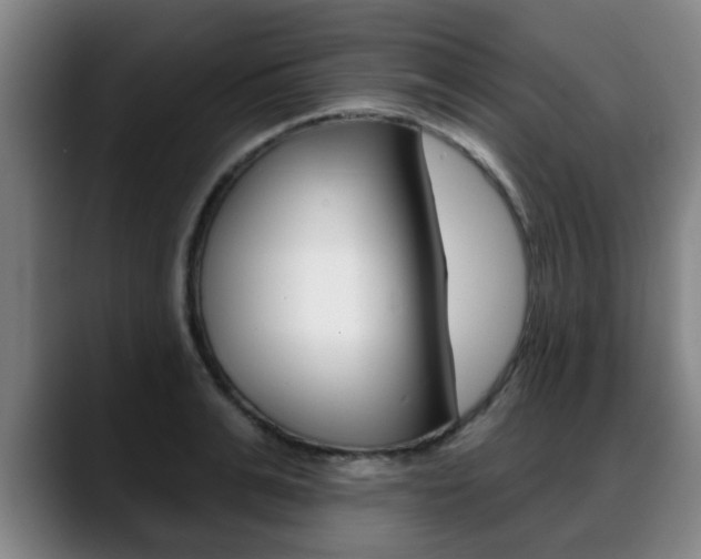 X0000089420991200706151000