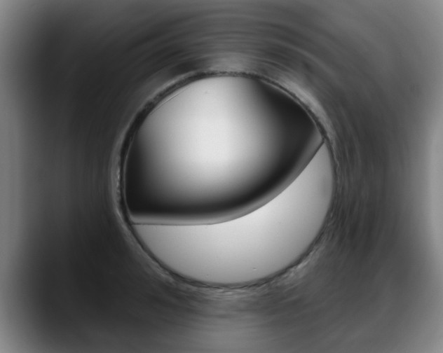 X0000089420992200706151000