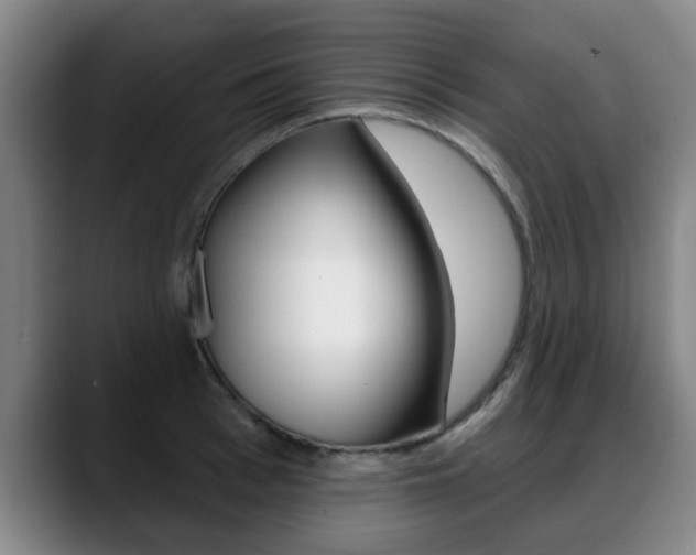X0000089420993200706151000