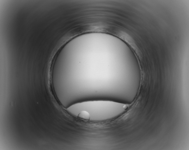 X0000089420994200706151000