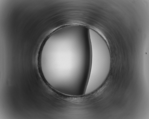 X0000089420995200706151000