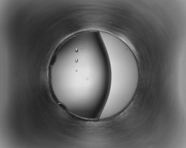 X0000089420996200706151000