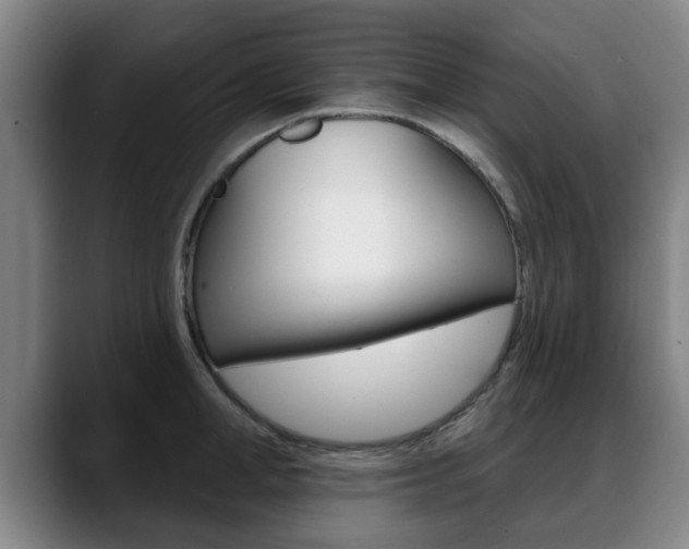 X0000089420998200706151000