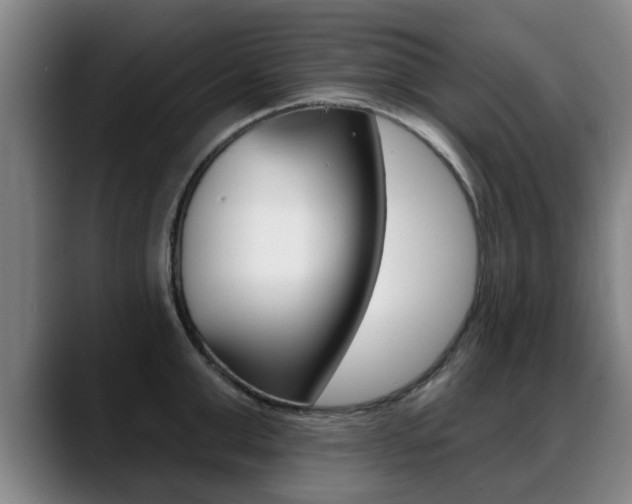 X0000089420999200706151000
