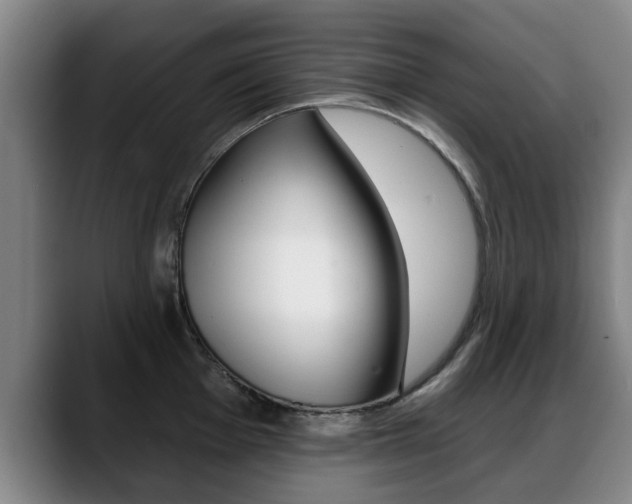 X0000089421001200706151000
