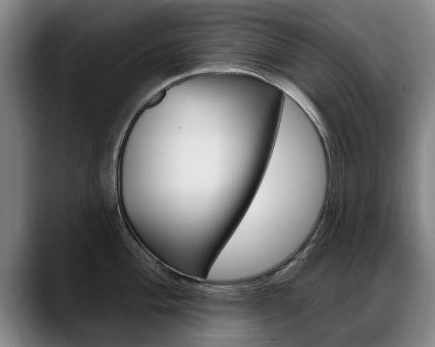X0000089421004200706151000