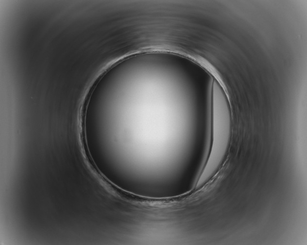 X0000089421005200706151000