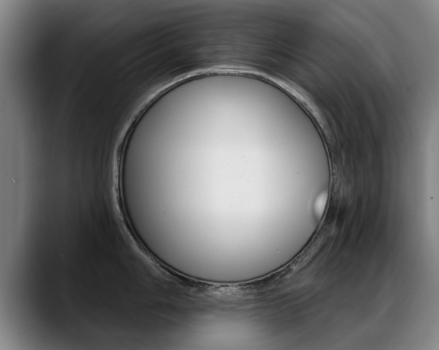 X0000089421006200706151000