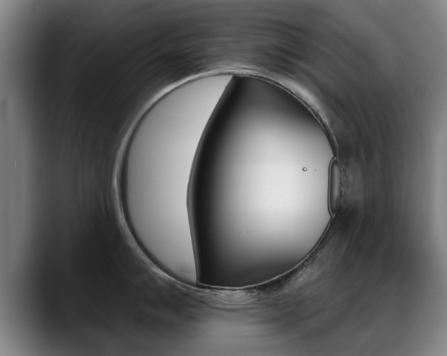 X0000089421007200706151000