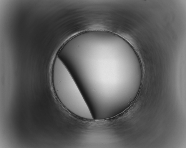 X0000089421008200706151000