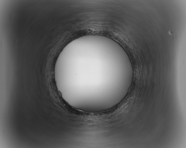 X0000089421009200706150959