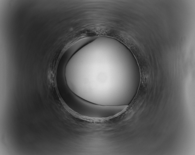 X0000089421010200706150959