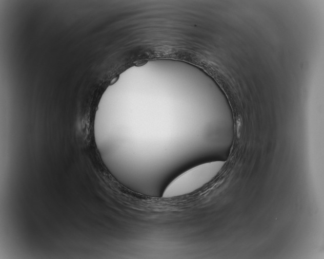 X0000089421011200706150959