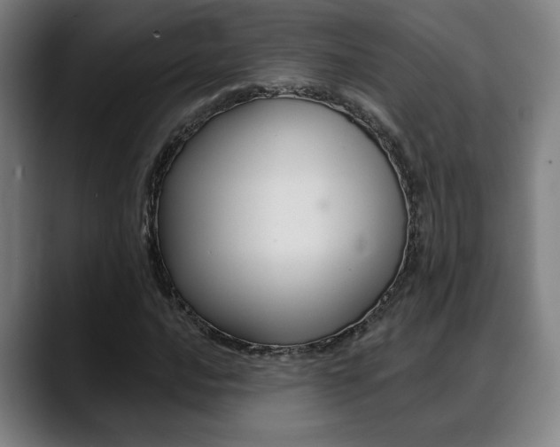 X0000089421016200706150959