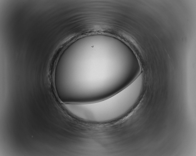 X0000089421018200706150959