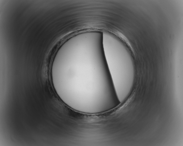 X0000089421019200706150959