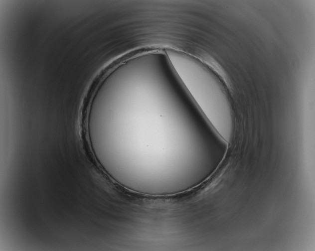 X0000089421020200706150959