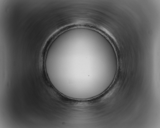 X0000089421021200706150959