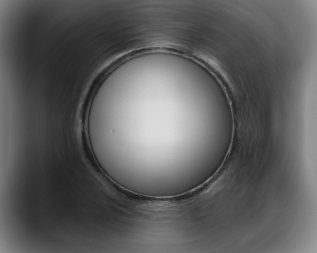 X0000089421024200706150959