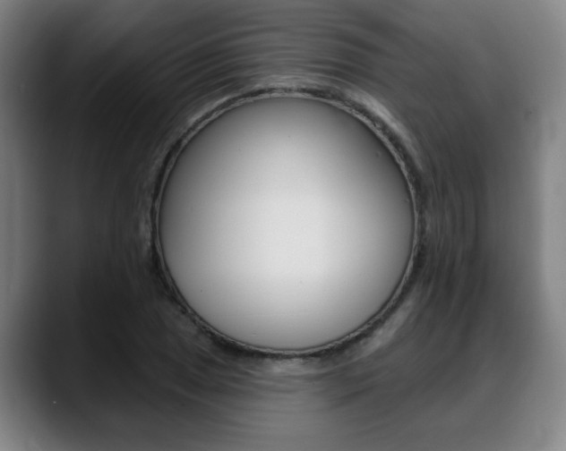 X0000089421025200706150959