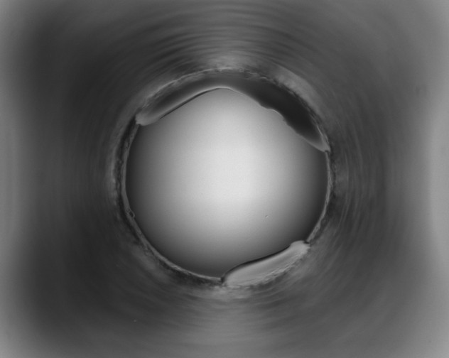 X0000089421026200706150959