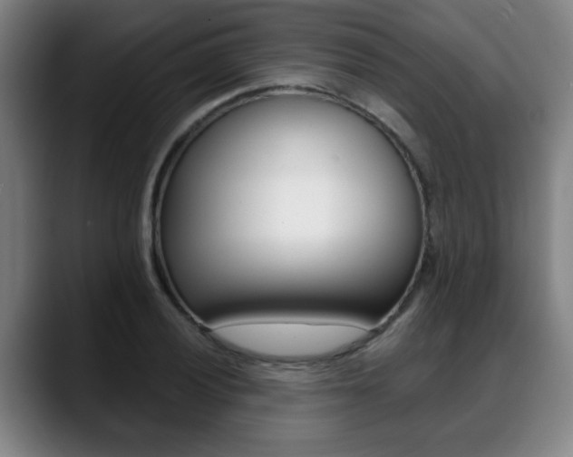 X0000089421028200706151000