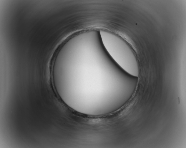 X0000089421031200706151000