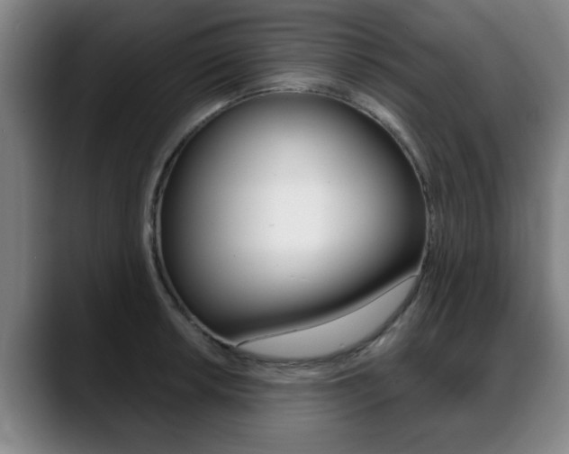 X0000089421042200706151000
