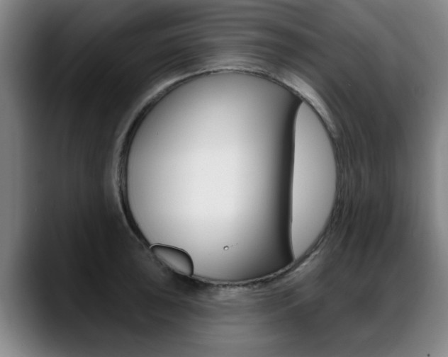 X0000089421043200706151000