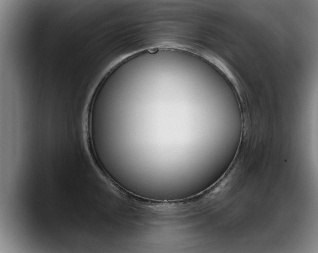 X0000089421048200706151000