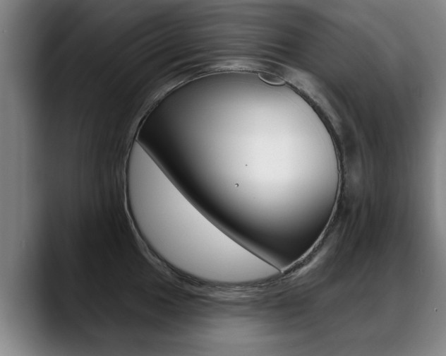 X0000089421049200706151000
