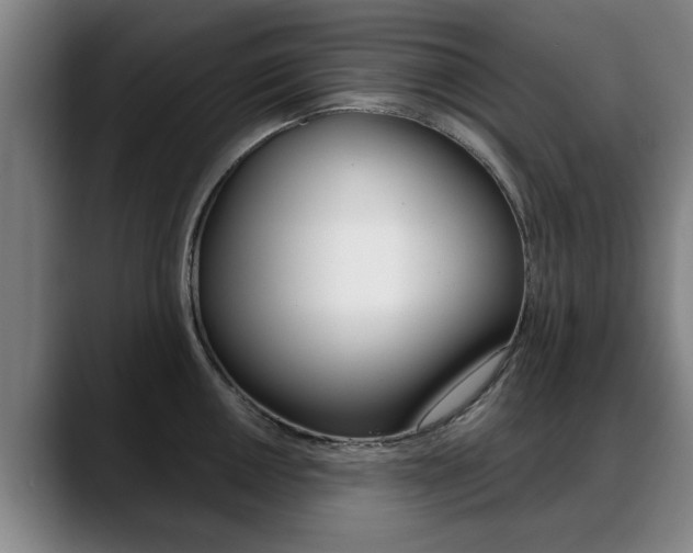 X0000089421050200706151000