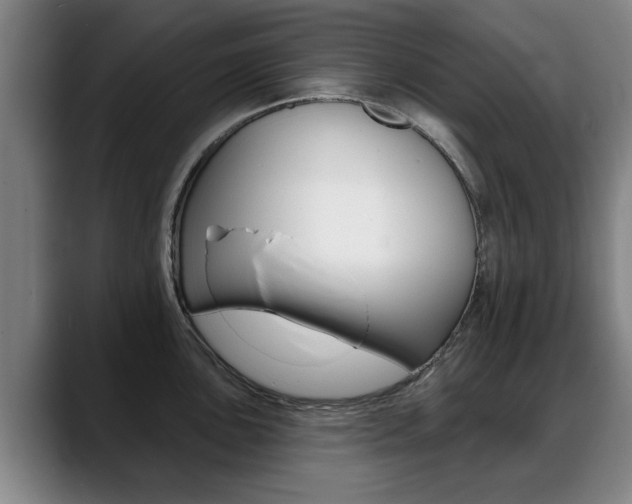 X0000089421051200706151000