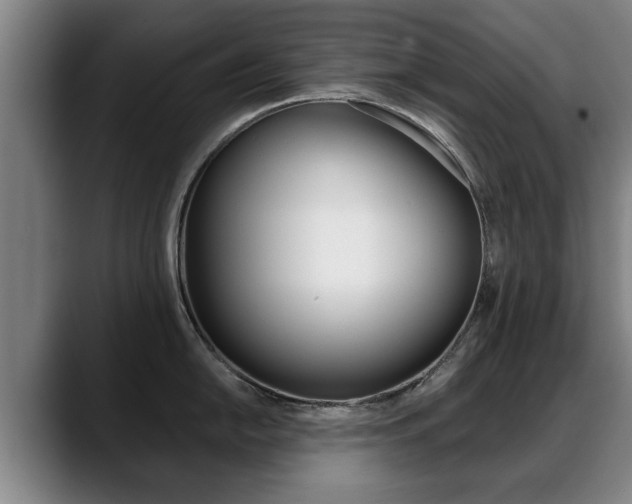X0000089421054200706151000