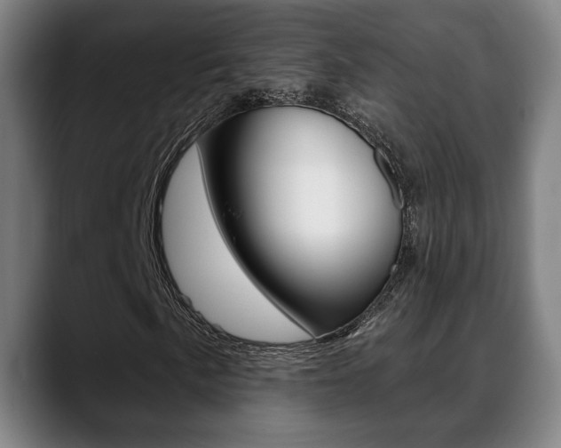 X0000089421057200706150959
