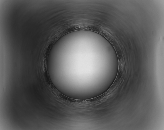 X0000089421060200706150959