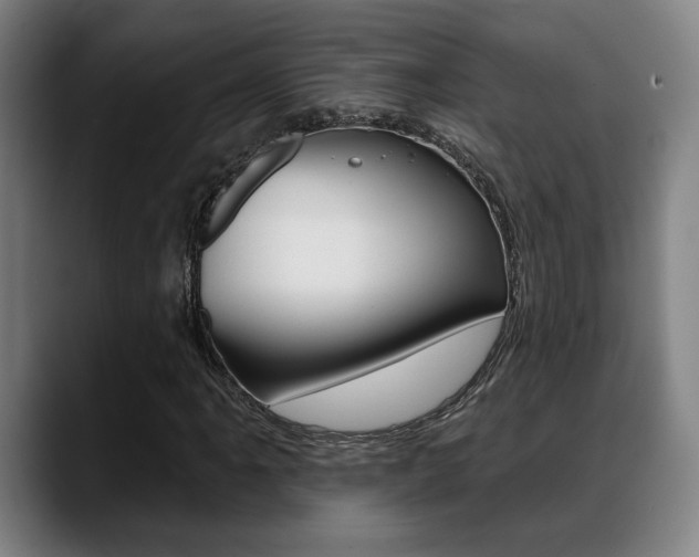 X0000089421061200706150959