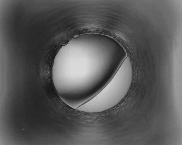 X0000089421062200706150959