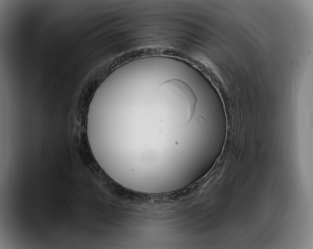 X0000089421064200706150959