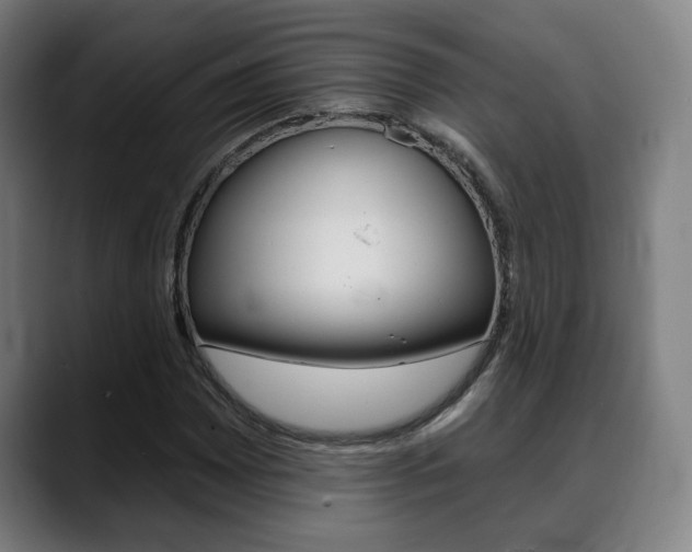 X0000089421065200706150959