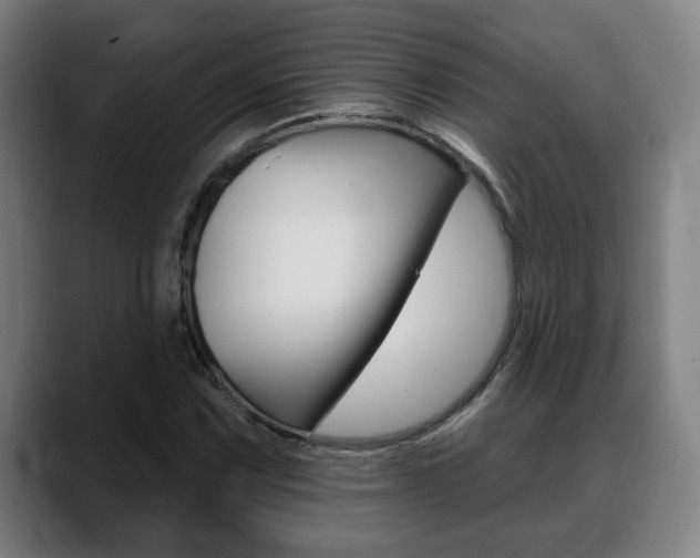 X0000089421067200706150959